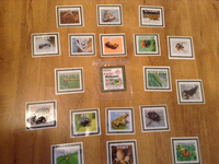 Minibeasts- Mini Pack