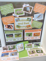 Spring - Mega Bundle