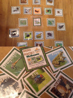 Minibeasts- Mini Pack