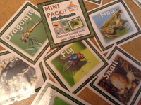 Minibeasts- Mini Pack