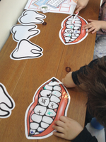 Healthy Teeth Mega Bundle