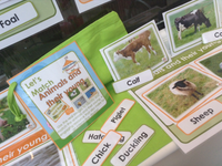 Spring - Mega Bundle