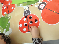 Spring - Mega Bundle