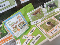 Spring - Animals & Their Young