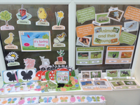 Spring - Mega Bundle