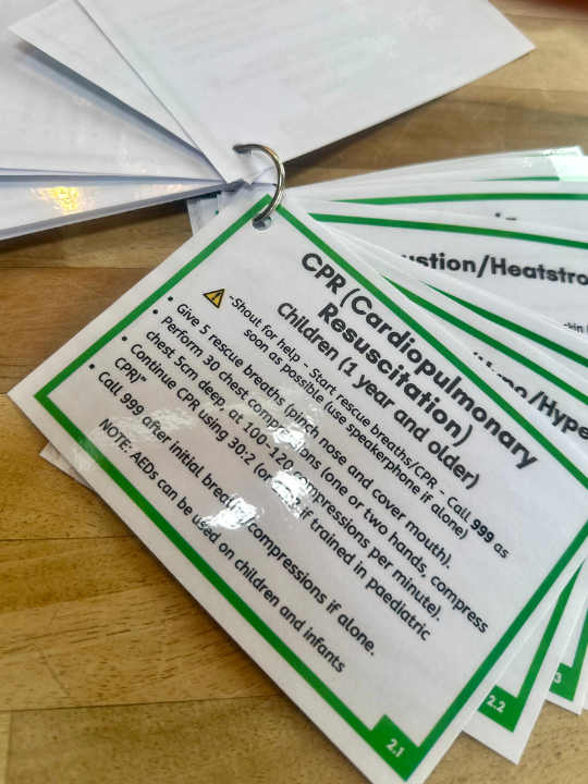 NEW - 2026 Paediatric First Aid Key Rings| CR Hut