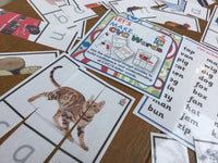 
              Let's Make CVC Words - PARENT PACK
            