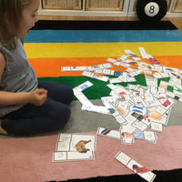 Let's Make CVC Words - PARENT PACK