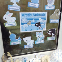Arctic Animals - Display