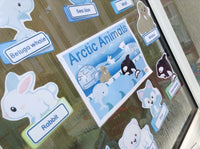 
              Arctic Animals - Display
            
