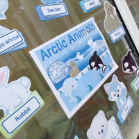 Arctic Animals - Display