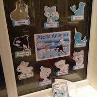 Arctic Animals - Mega Bundle