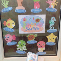 Sea life - Display