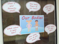 
              Our Bodies - Display and Activity
            