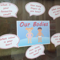 Our Bodies - Display and Activity