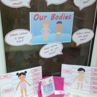 Our Bodies - Display and Activity