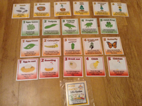 
              Life Cycles - Mini Pack
            