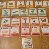 Life Cycles - Mini Pack