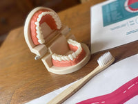 
              NEW! Oral Hygiene Teeth Set
            