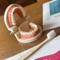 NEW! Oral Hygiene Teeth Set