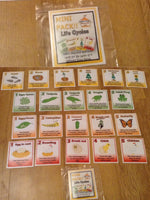 
              Life Cycles - Mini Pack
            