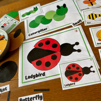 NEW 2D Shape - Minibeasts