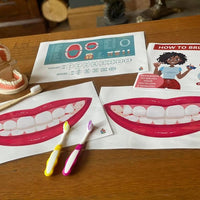 NEW! Oral Hygiene Teeth Set