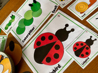 
              NEW 2D Shape - Minibeasts
            