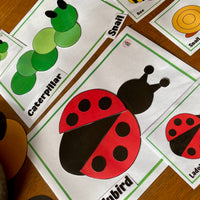 NEW 2D Shape - Minibeasts