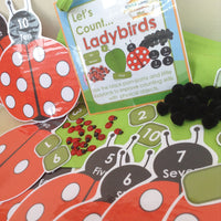 Spring - Ladybird Counting