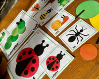 
              NEW 2D Shape - Minibeasts
            