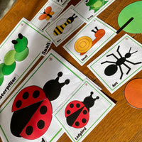 NEW 2D Shape - Minibeasts